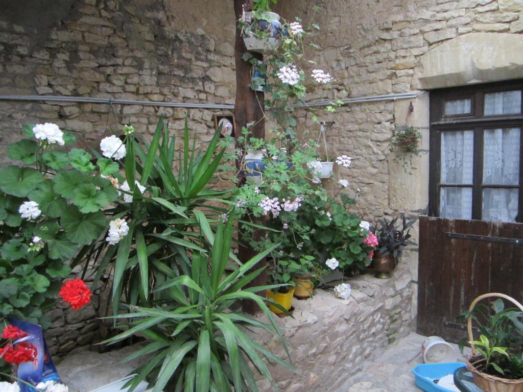 Chambres, Table D'Hotes Et Gites Les Mesanges Saint-Jean-de-Sauves Zewnętrze zdjęcie
